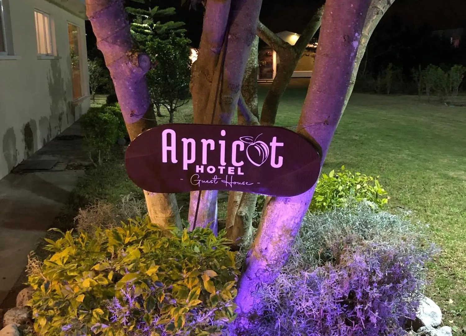 Apricot Hotel Quito
